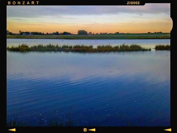 Water on the brain, Wheatland County, 2024-09-18