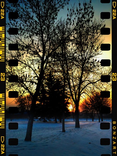 Fire & Ice, Sunset In Light Snow, Thornbriar Green, Strathmore, Alberta, 2024-03-01