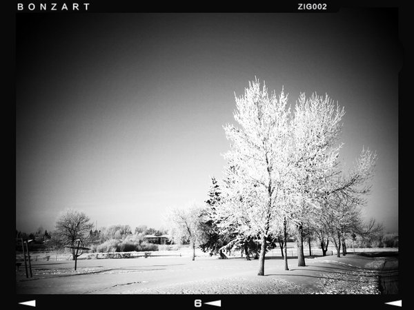 Just a bit tired of shooting this same spot, Thornbriar Green, Strathmore, Alberta, 2024-03-07