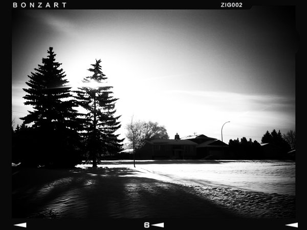 Lark in the park, Thornbriar Green, Strathmore, Alberta, 2024-03-07