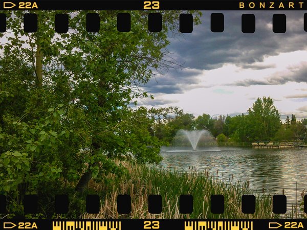 Lark in the park, Kinsmen Park, Strathmore, AB, 2024-06-11