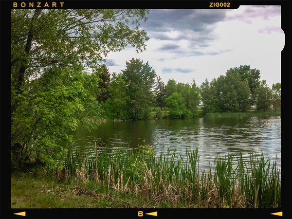 Lake's end, Kinsmen Park, Strathmore, AB, 2024-06-11
