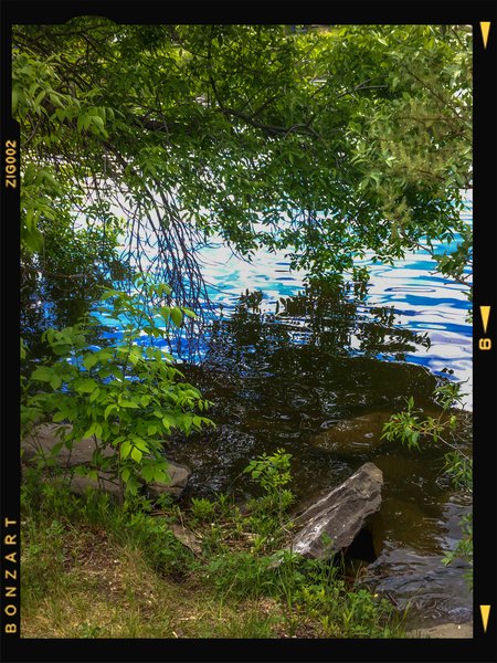 Quiet Place, Kinsmen Park, Strathmore, AB, 2024-06-11