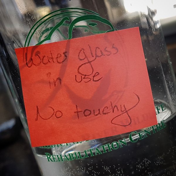 No Touchy