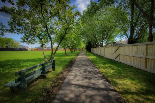 Afternoon Ambulation, Blue Heron Walking Trail, Barrhead, AB, 2020-06-09