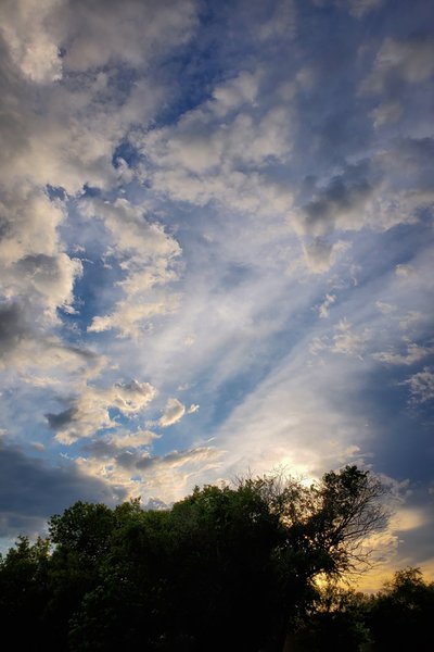 Late Evening Skylife, Barrhead, Alberta, June 20, 2020