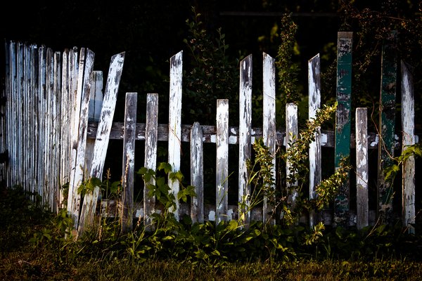 Feeling Fenced In, Barrhead, Alberta, June 27, 2020