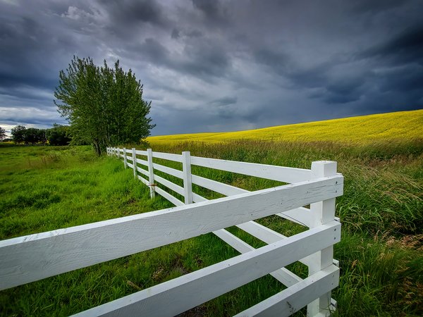 Fenced In, Hwy 20 Near Bentley, AB, 2020-07-13