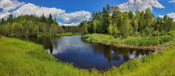 Summer Beaver Dam, Stitched Panoramic Image, July 18, 2020