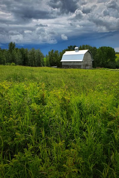 Gosh Barn It All (Portrait), Barrhead County, July 19, 2020
