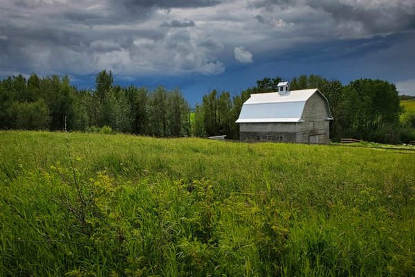 Gosh Barn It All (Landscape), Barrhead County, July 19, 2020