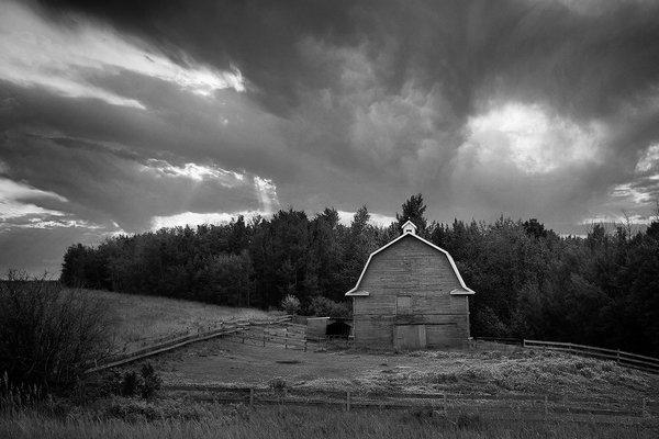 Gosh Barn It All (B&W Landscape), Barrhead County, 2020-07-19
