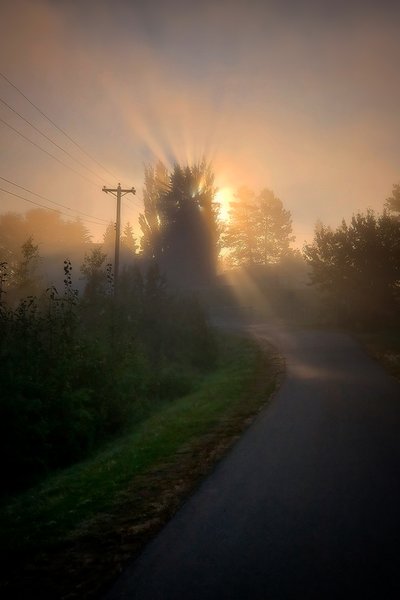 Sun Breaking Through, Blue Heron Walking Trail, Barrhead, AB, 202-08-25