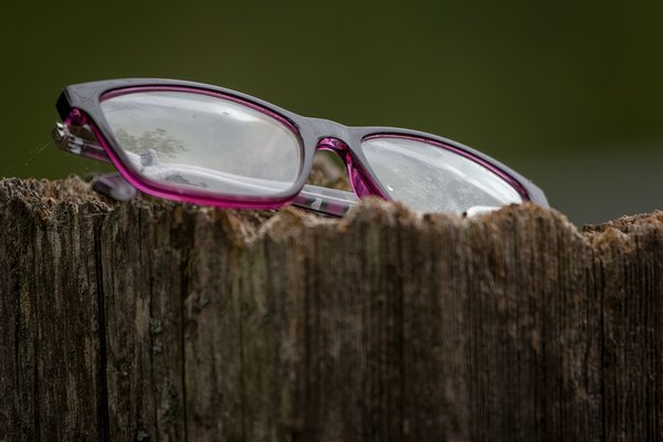 No longer seeing the big picture, Clifford E. Lee Bird Sanctuary, Spruce Grove, Alberta, 2020-08-29