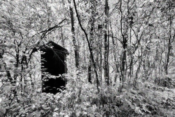 Out of order outhouse, Clifford E. Lee Bird Sanctuary, Spruce Grove, Alberta, 2020-08-29