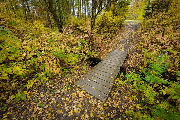 Hidden Foot Bridge, Barrhead, AB, Early Fall 2020