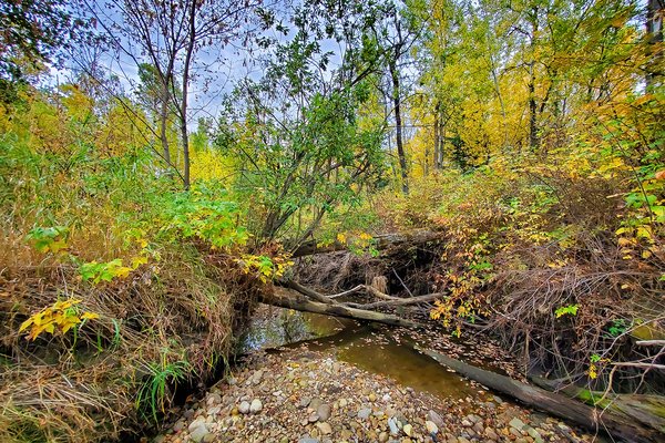 Where the Kids Play, Hidden Forrest, Barrhead, Alberta, 2020-09-20