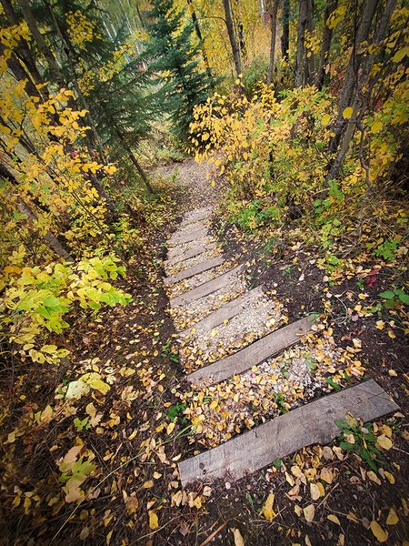Not handicapped accessible, Barrhead, Alberta, 2020-09-21