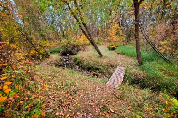 Non-sanctioned Crossing, Hidden Forest, Barrhead, Alberta, 2020-09-23