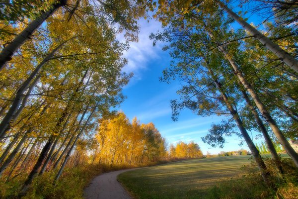 Fall Walk Along Pioneer Trail, Barrhead, Alberta, September 26, 2020