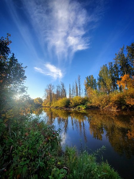 Creeping the Shore Just After Sunrise, Paddle River, Barrhead, Alberta, 2020-09-26