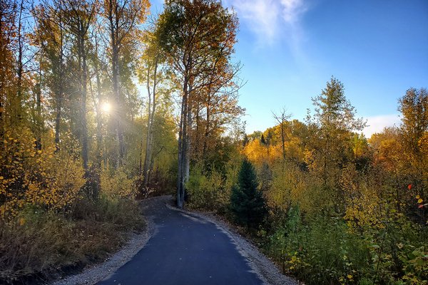 Newly Paved Section of Heron Trail, Paddle River, Barrhead, Alberta, 2020-09-26