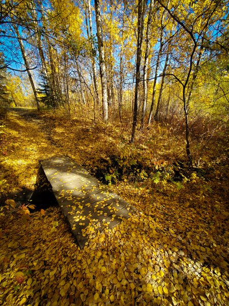 Leaf Covered Bridge, Walking Trail, Barrhead, Alberta, September 21, 2020