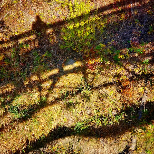 End of season self portrait.