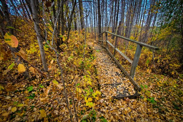 Bridging the Seasons, Barrhead, Alberta, October 4, 2020