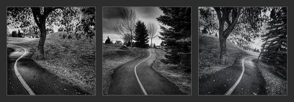 Strath Paths, Triptych, Strathmore, Alberta, October 29, 2020