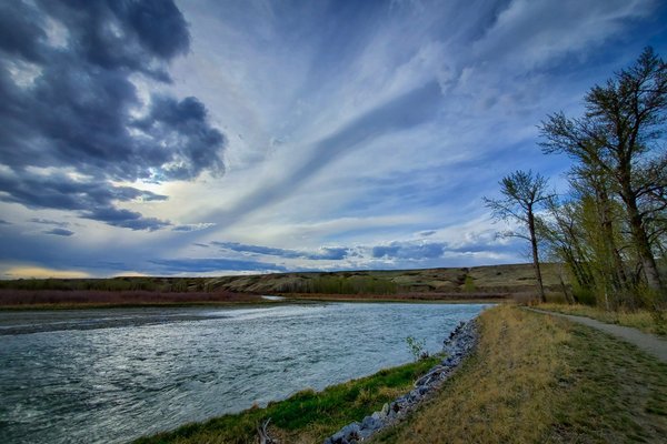 Walking the Riverbank, Wyndham-Carseland Provincial Park, May 12, 2021