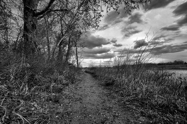Trail by the Riverbank, Wyndham-Carseland Provincial Park., May 12, 2021