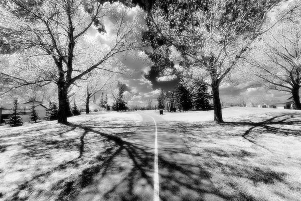 Strath Paths in Fake Infrared, May 14, 2021