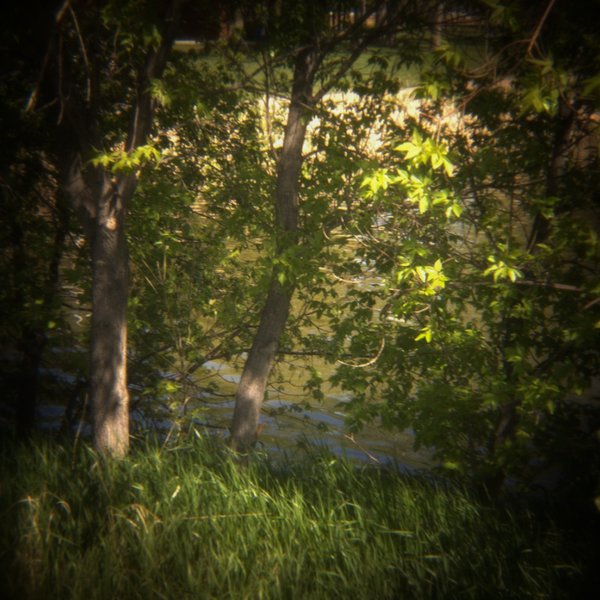 New Leaves, Kinsmen Lake 4