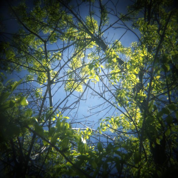 New Leaves, Kinsmen Lake 3
