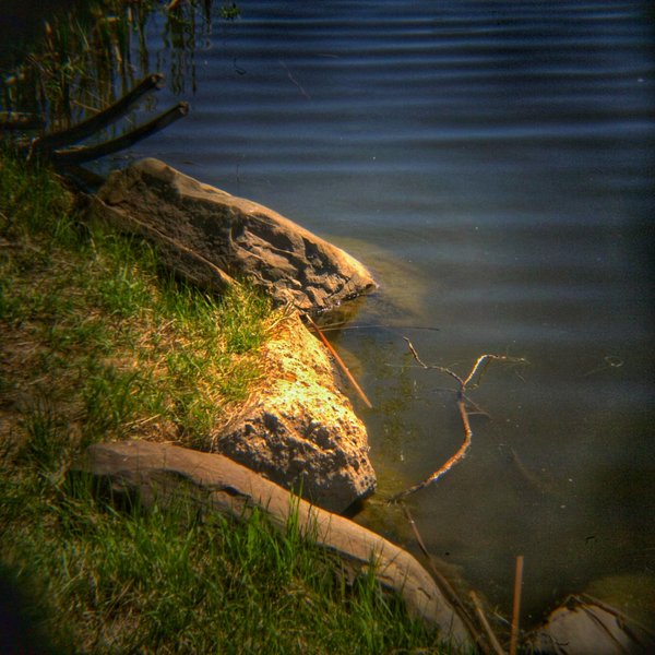 Sunlit spot on the shore