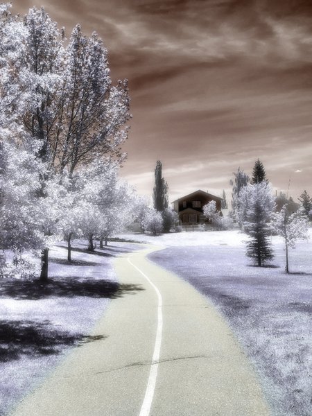Strath Paths in Fake Infrared, May 31, 2021