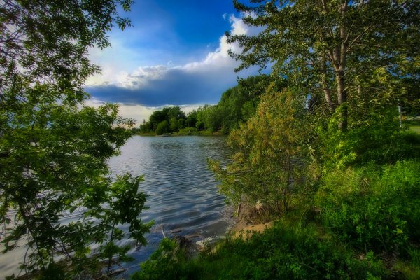 Kinsmen Lake Through Trees, Strathmore, Alberta, June 11, 2021