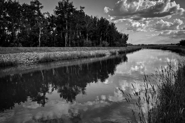 Clouds Reflected in Irrigation Canal Northwest of Strathmore, Alberta, June 16, 2021, 2 of 2