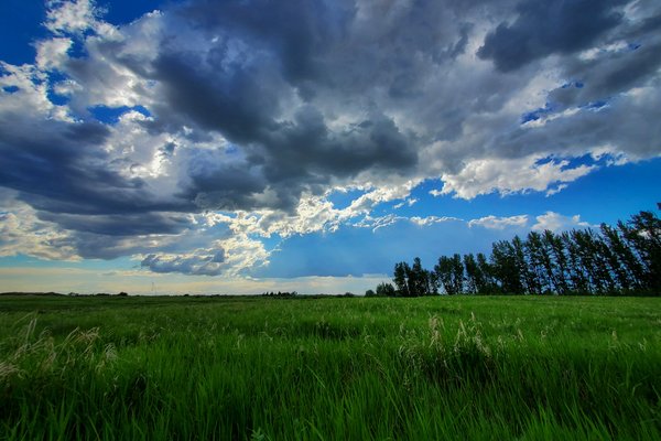 Living Skies, Pasture, Northwest of Strathmore, Alberta, June 15, 2021