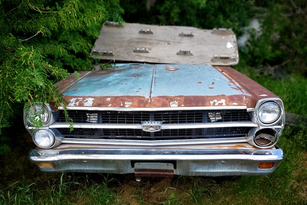 Found On Roadside Dead 1 of 3, Namaka, Alberta, June 20, 2021