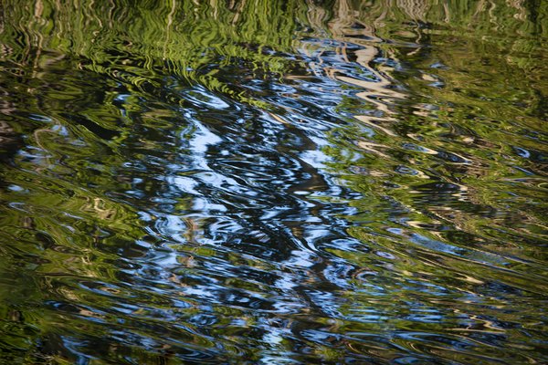 Trees & Sky Reflected in Kinsmen Lake, Strathmore, Alberta, June 21, 2021