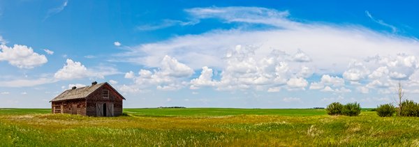 Old Barn Near Mossleigh, Alberta, Fuji Velvia 100 Simulation, July 09, 2021