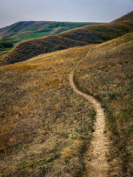 Goat Trails Above Johnson Inlet 1 of 2, Wyndham-Carseland Provincial Park