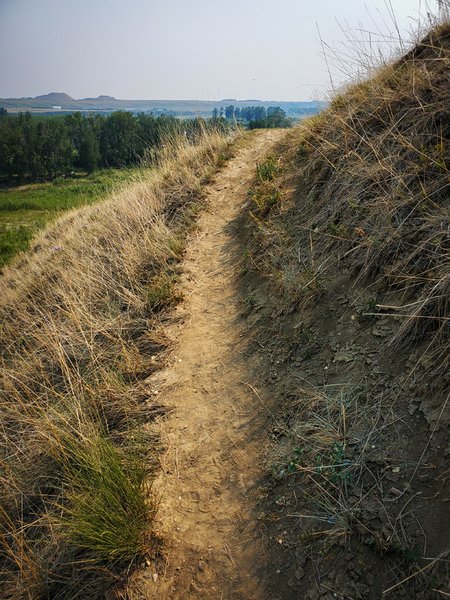 Goat Trails Above Johnson Inlet 2 of 2, Wyndham-Carseland Provincial Park
