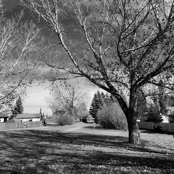 20211015_144251-01
