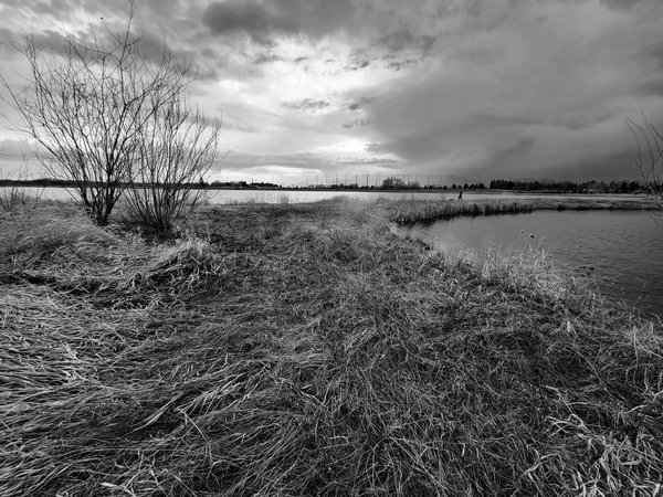 20220426_201026-01