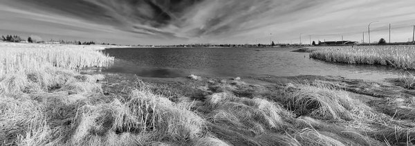 Gray's Pond, Panoramic B&W