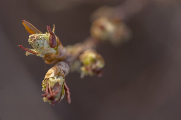 Reaching