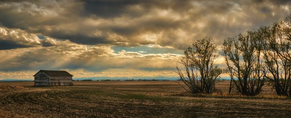 Forlorn Field, Evening Panoramic, Indus Alberta, 2022-05-20